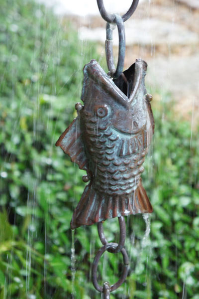 Final-Fish-Rain2-DSC03253