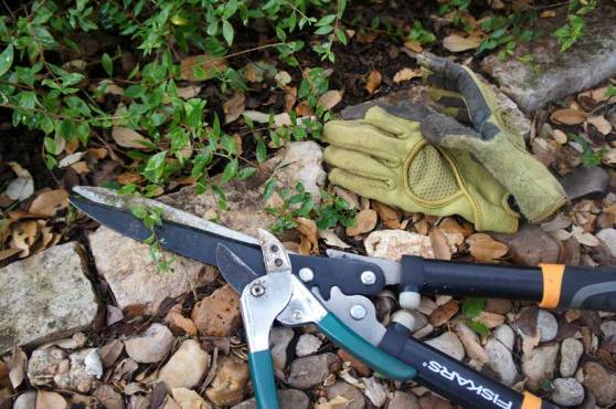 Web-Gardening-Instruments