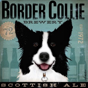 Border-Collie
