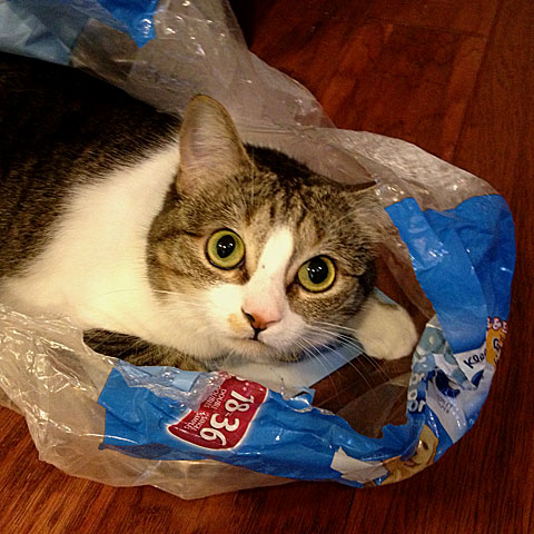 Final-Lucy-Plastic-IMG_0657