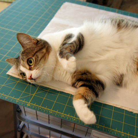 Lucy-Cutting-DSC02266