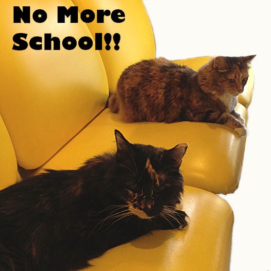 Final-No-More-School-IMG_07