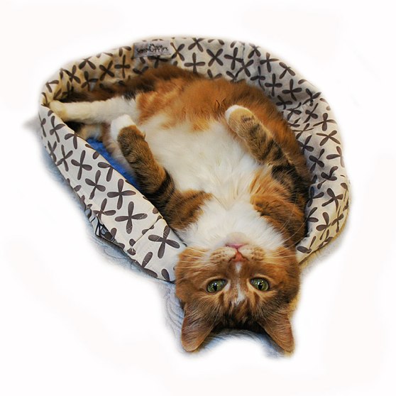 Final-Peyton-Upside-Down-2