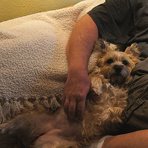 Final-Rick-Gracie-DSC03582-