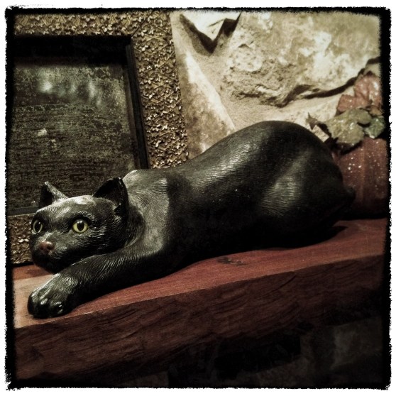 Black Cat Square-IMG_1007_Snapseed