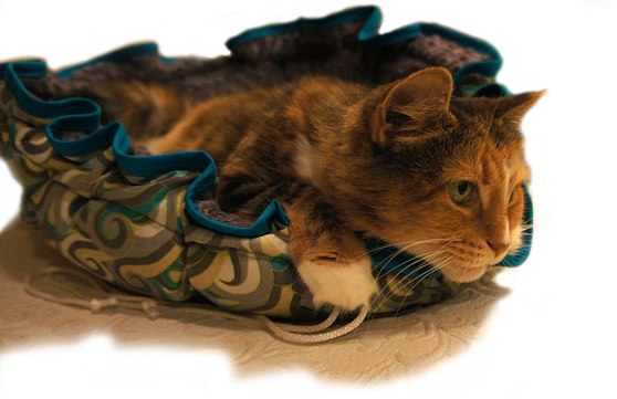 Final-Peyton-Teal-Nest-DSC0