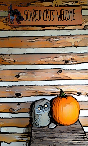 Final-Pumpkin-&-Owl_Snapseed