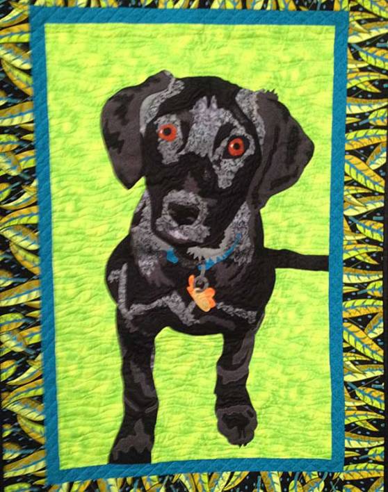 Final-Shade-Black-Lab