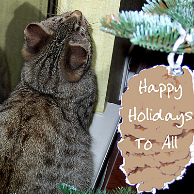 Final-First-Christmas-Squar