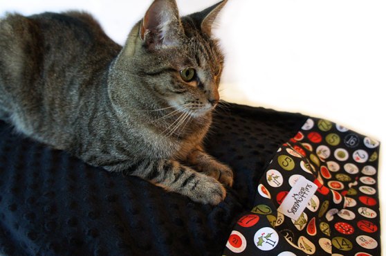 Black Pillowcase Pet Bed