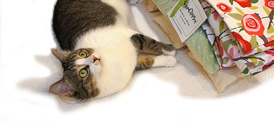 Master-Luy-Floral-Header