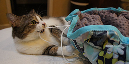 Photoshop-Tut-Header