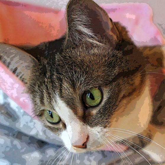 Final-Lucy-Face-2-DSC01525-